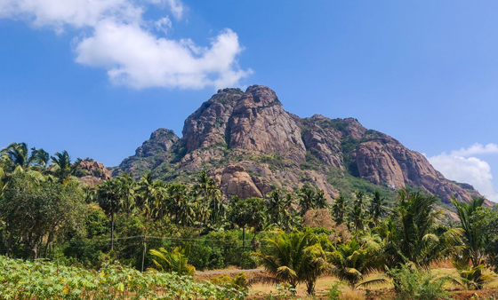 saitrust kanyakumari